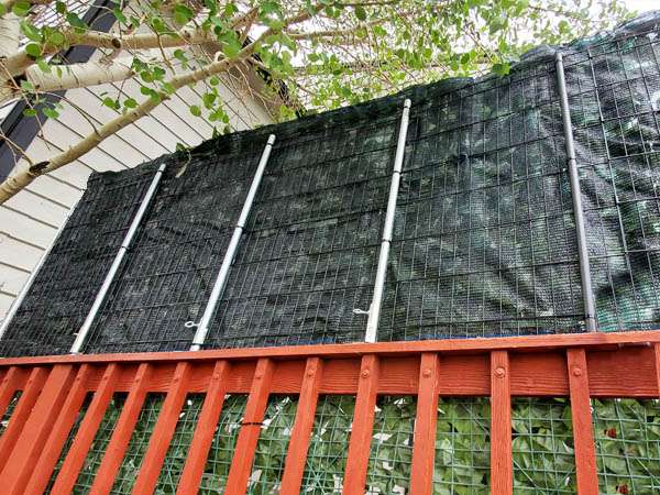 Above Deck Rail Privacy Fence, Azalea - Image 5