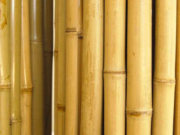 Above Deck Rail Bamboo Fence - Image 3