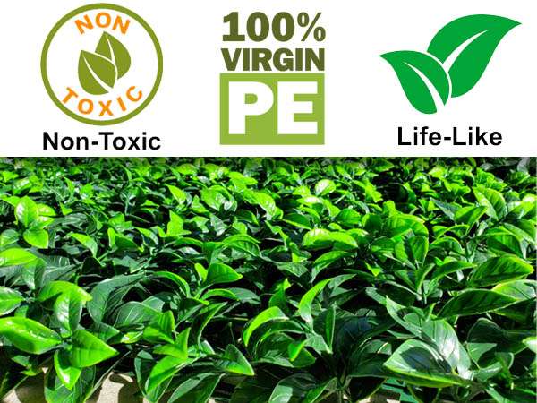 Above Deck Rail Privacy Fence, Dominica - Image 3