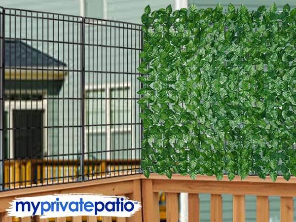 Boston Ivy close deck