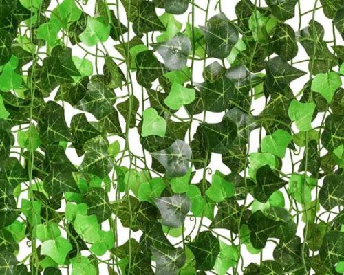 Add Ivy Vines 32 feet